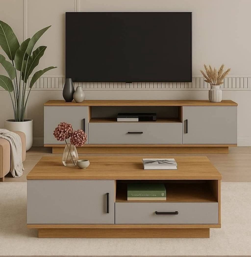 Modern living room set LR119